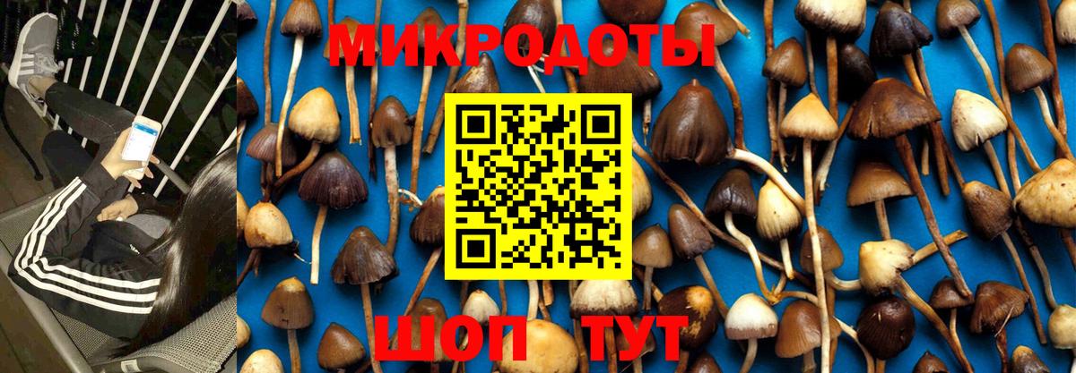 Красный Сулин  Галлюциногенные грибы Magic Shrooms  Вход с VPN 